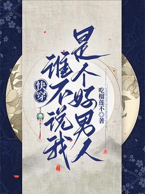 杨再兴投靠岳飞