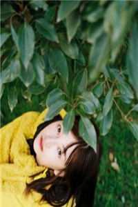 极寒末世我用聚宝盆囤亿万物资动画