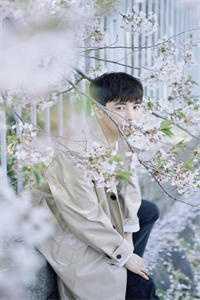 古典制约 免费阅读