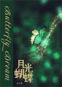 月光蝴蝶 月光蝴蝶