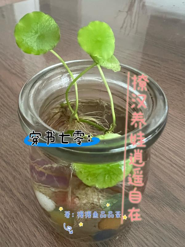 凡人修仙从八十岁筑基开始520