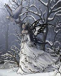 十六洲云品雪燕