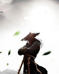 魔武推荐性格 魔武推荐性格