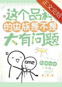 星尘斗士埃及篇