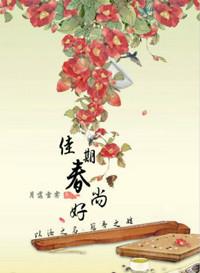 荣耀大使怎么玩